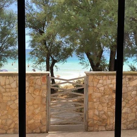 Villa Zack سان بيترو في بيفانا المظهر الخارجي الصورة
